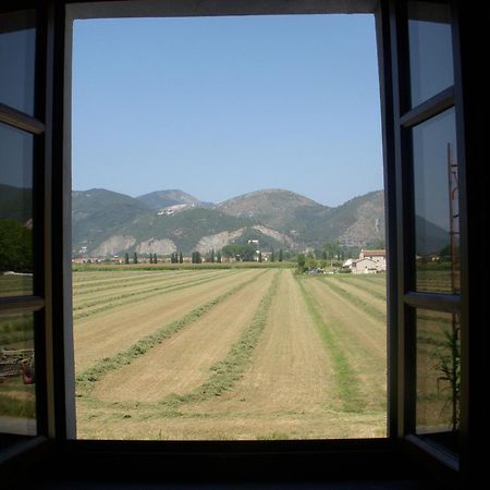 B&B Antica Dimora San Giuliano Terme Dış mekan fotoğraf
