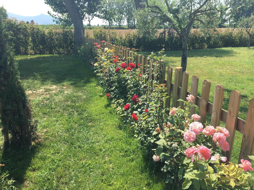 B&B Antica Dimora San Giuliano Terme Dış mekan fotoğraf